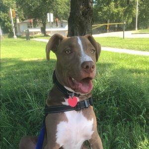 Meet your Posher, Maria